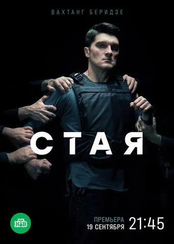 Стая НТВ (2022)